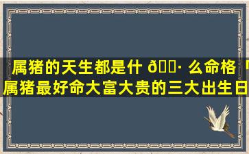 属猪的天生都是什 🌷 么命格「属猪最好命大富大贵的三大出生日」